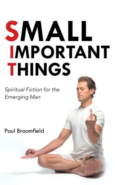Small Important Things: Spiritual Fiction for the Emerging Man