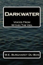 Darkwater: Voices From Within The Veil