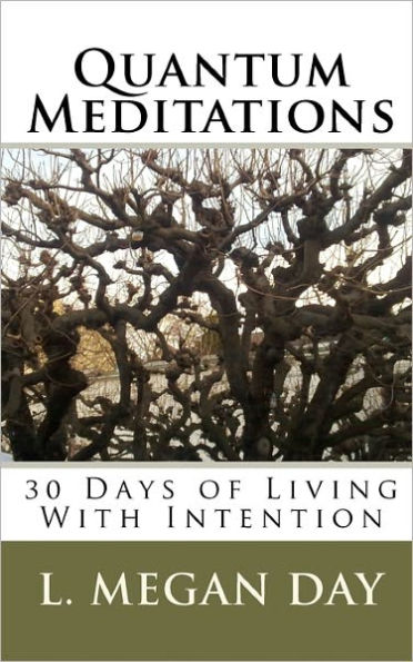 Quantum Meditations: 30 Days of Living With Intention