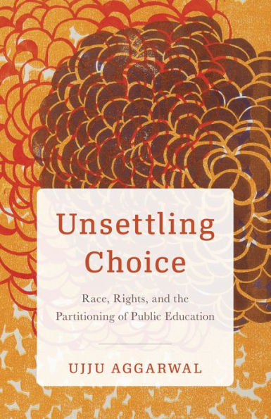 Unsettling Choice: Race, Rights, and the Partitioning of Public Education