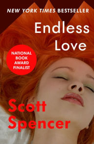 Title: Endless Love, Author: Scott Spencer