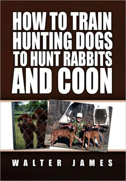 How to Train Hunting Dogs Hunt Rabbits and Coon