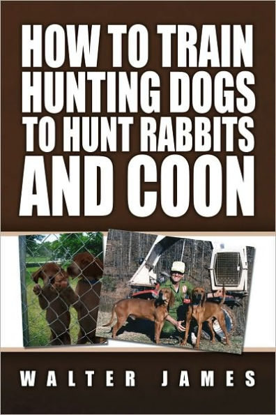 How to Train Hunting Dogs to Hunt Rabbits and Coon