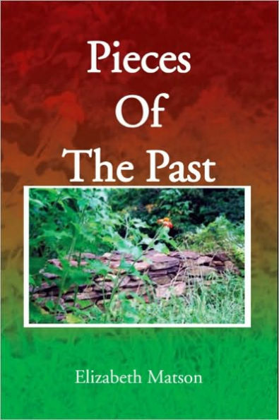 Pieces Of The Past