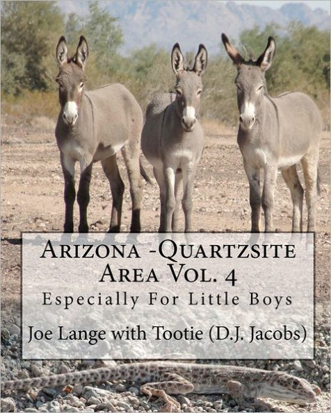 Arizona - Quartzsite Area Vol. 4: Especially For Little Boys