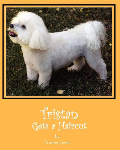 Tristan Gets a Haircut: A Tristan and Trudee Story