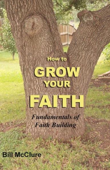 How to Grow Your FAITH: Fundamentals of Faith Building