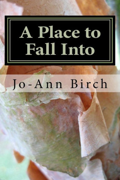 A Place to Fall Into: Poems