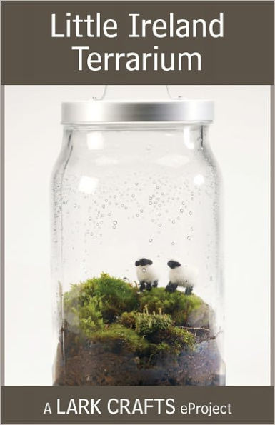 Little Ireland Terrarium eProject