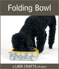 Title: Folding Bowl eProject, Author: Joan Morris