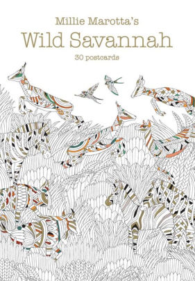 Millie Marottas Wild Savannah Postcard Book 30 Postcards