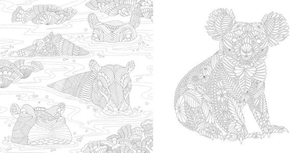 Millie Marotta's Wildlife Wonders: Favorite Illustrations from Coloring Adventures