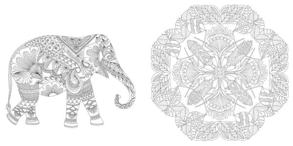 Millie Marotta's Wildlife Wonders: Favorite Illustrations from Coloring Adventures