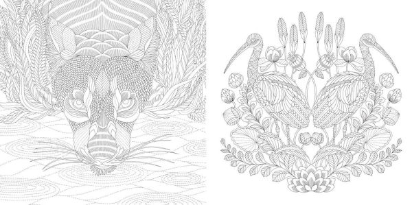 Millie Marotta's Wildlife Wonders: Favorite Illustrations from Coloring Adventures