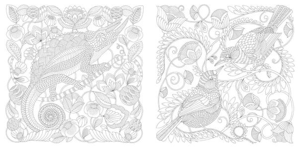 Millie Marotta's Wildlife Wonders: Favorite Illustrations from Coloring Adventures