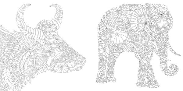 Millie Marotta's Brilliant Beasts: Favorite Illustrations from Coloring Adventures