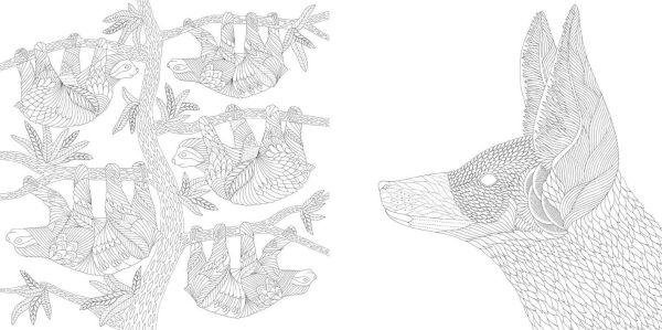 Millie Marotta's Brilliant Beasts: Favorite Illustrations from Coloring Adventures