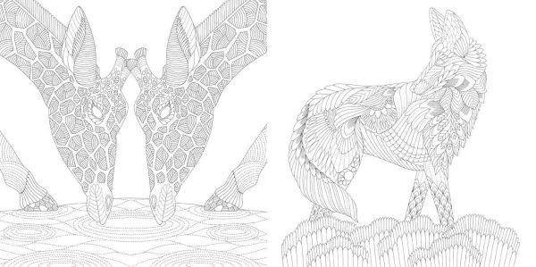 Millie Marotta's Brilliant Beasts: Favorite Illustrations from Coloring Adventures