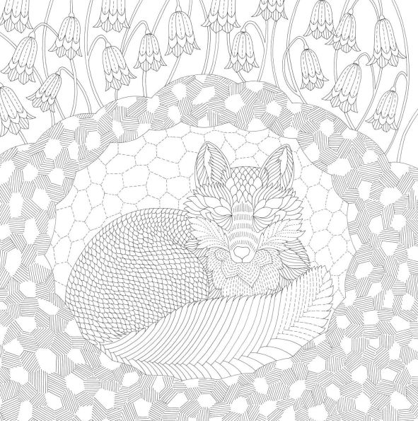 Millie Marotta's Woodland Wild
