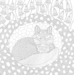 Alternative view 7 of Millie Marotta's Woodland Wild