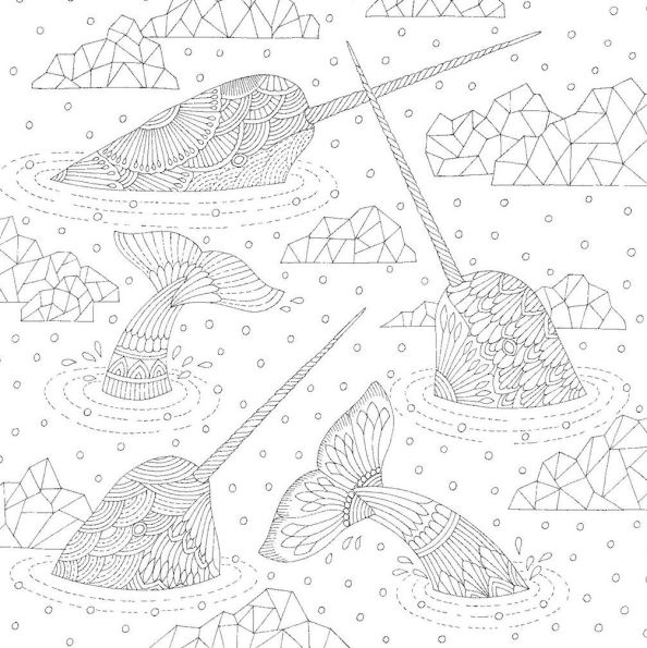 Millie Marotta's Secrets of the Sea: A Coloring Book Adventure