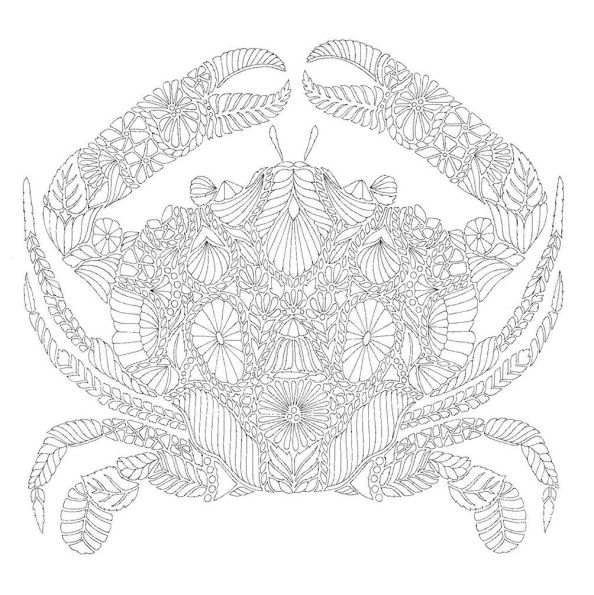 Millie Marotta's Secrets of the Sea: A Coloring Book Adventure