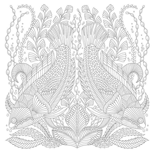 Millie Marotta's Secrets of the Sea: A Coloring Book Adventure