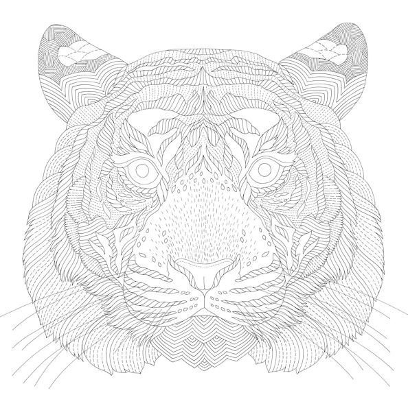 Millie Marotta's Animal Adventures: Favorite Illustrations from Seas, Forests, and Islands