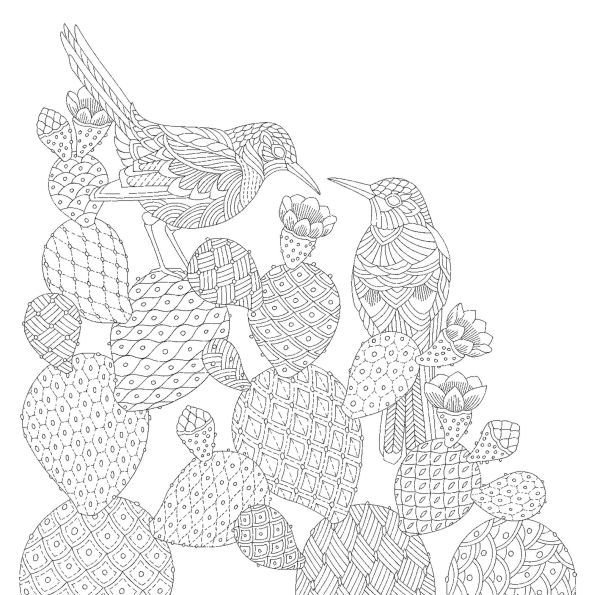 Millie Marotta's Animal Adventures: Favorite Illustrations from Seas, Forests, and Islands