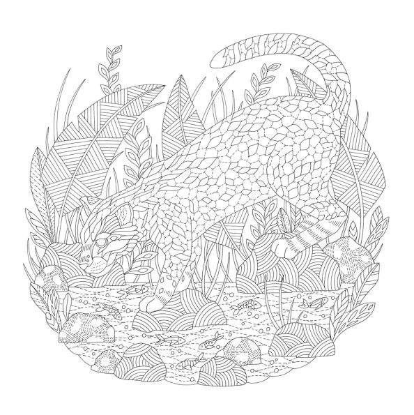 Millie Marotta's Animal Adventures: Favorite Illustrations from Seas, Forests, and Islands