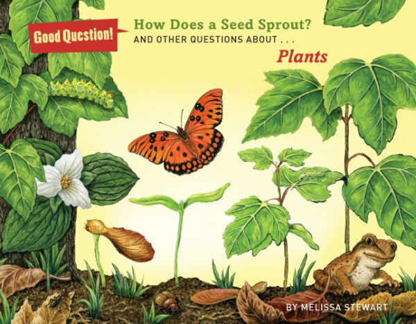 How Does a Seed Sprout?: And Other Questions About Plants