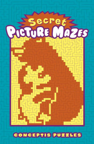 Secret Picture Mazes
