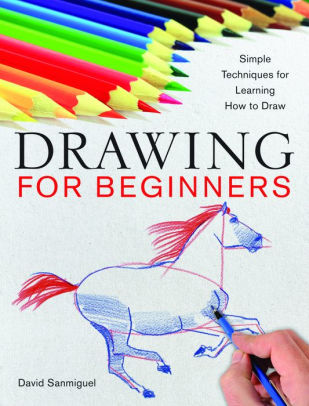 Drawing For Beginners Simple Techniques For Learning How To Draw By David Sanmiguel Paperback Barnes Noble