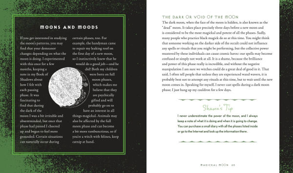 Wiccapedia: A Modern-Day White Witch's Guide