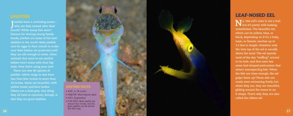 Clownfish Aren't So Funny: Fascinating Facts about Some of the Ocean's Most Misunderstood Creatures