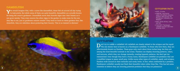 Clownfish Aren't So Funny: Fascinating Facts about Some of the Ocean's Most Misunderstood Creatures