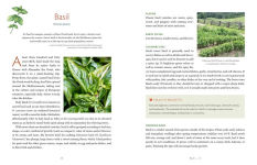 Alternative view 5 of The Herbalist's Kitchen: Cooking and Healing with Herbs