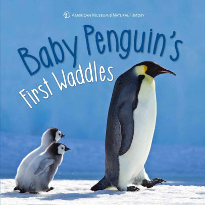 Baby Penguin S First Waddles By Ben Richmond Hardcover Barnes Noble