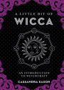 A Little Bit of Wicca: An Introduction to Witchcraft