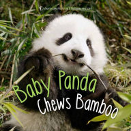 Title: Baby Panda Chews Bamboo, Author: Ben Richmond