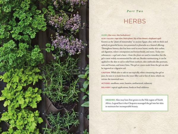 Healing Herbs Handbook: Recipes for Natural Living