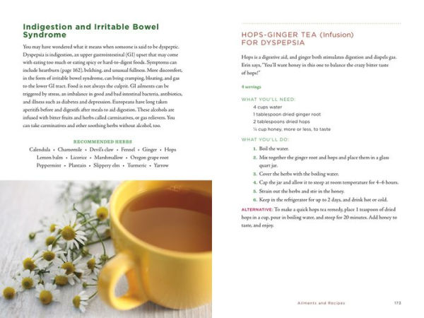 Healing Herbs Handbook: Recipes for Natural Living