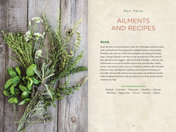 Healing Herbs Handbook: Recipes for Natural Living