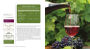 Alternative view 5 of Kevin Zraly Windows on the World Complete Wine Course: Revised, Updated & Expanded Edition