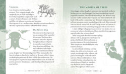Alternative view 11 of The Witch's Way: A Guide to Modern-Day Spellcraft, Nature Magick, and Divination