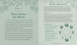 Alternative view 21 of The Witch's Way: A Guide to Modern-Day Spellcraft, Nature Magick, and Divination