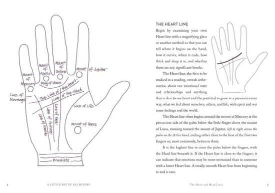 A Little Bit of Palmistry: An Introduction to Palm Reading by Cassandra  Eason, Hardcover | Barnes & Noble®