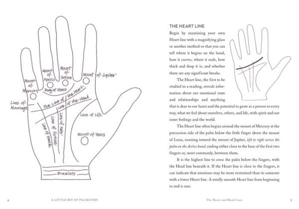 A Little Bit of Palmistry: An Introduction to Palm Reading