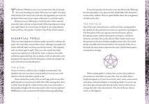 Alternative view 2 of Wiccapedia Journal: A Book of Shadows