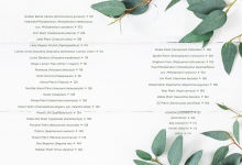 Alternative view 12 of How to Houseplant: A Beginner's Guide to Making and Keeping Plant Friends